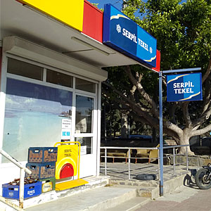 Gümüşlük tekel, Gümüşlük serpil tekel