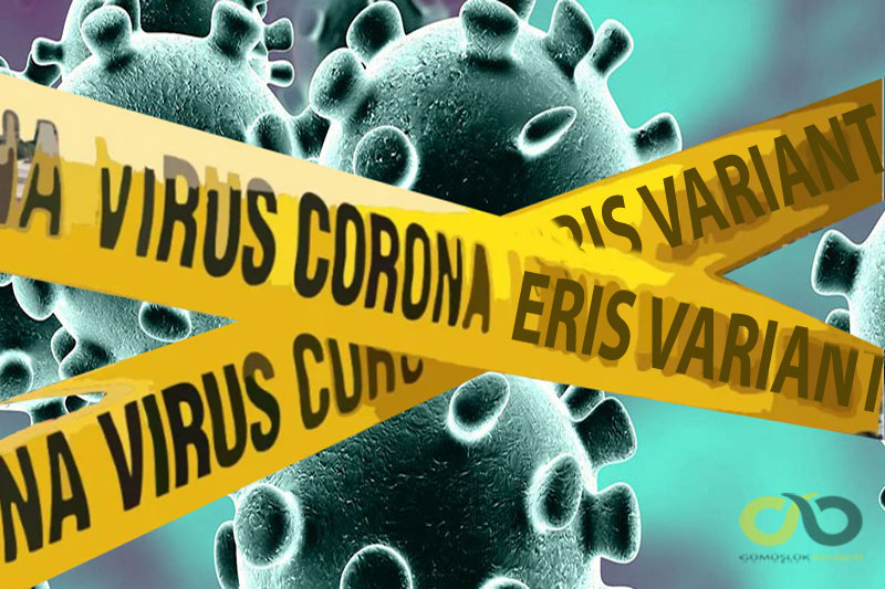 Coronavirus Eris varyantı Türkiye'de - 48 Haber Ajansı 