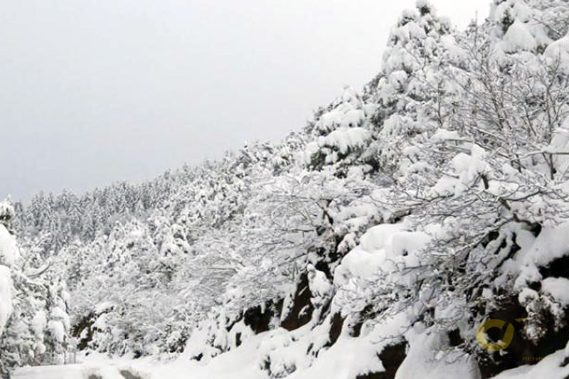Muğla Kavaklıdere'ye ilk kar düştü 2