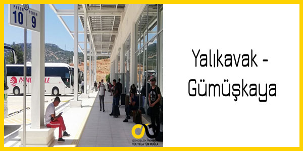 Yalıkavak, Gümüşkaya otobüs saatleri