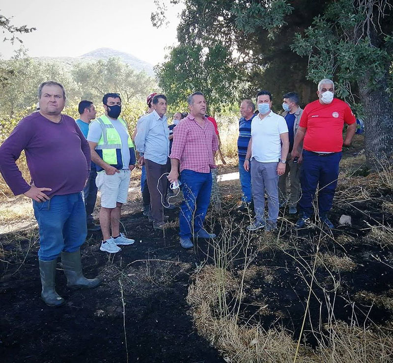 Bodrum Belediye Başkanı Ahmet Aras Dereköy'de yanan alanı inceledi 2