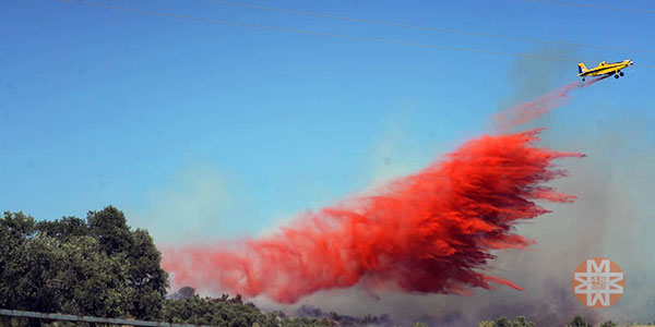 Bodrum - Milas Havalimanı yolu orman yangını - 48 Haber Ajansı 3