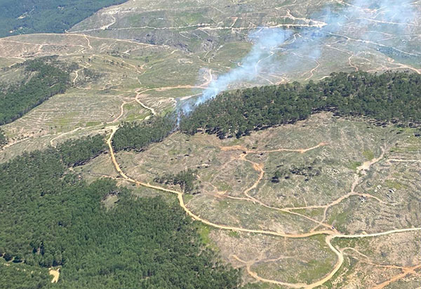 Kavaklıdere'de orman yangını - 48 Haber Ajansı (Görsel: Kavaklıdere Belediyesi)