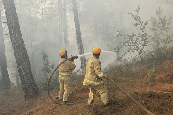 Orman yangını müdahale, temsili görsel, arşiv - GHA