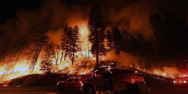 Orman yangını - Temsili görsel - 48 Haber Ajansı
