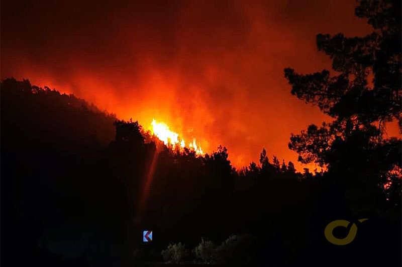 Marmaris orman yangını, Haziran 2022 - GHA