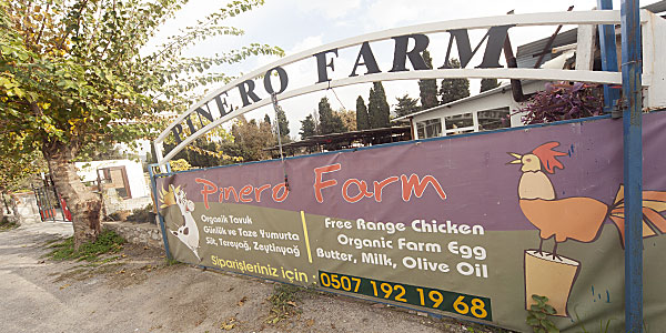Gümüşlük organik ürünler; Süt; Yumurta; Tereyağı; Pinero Farm