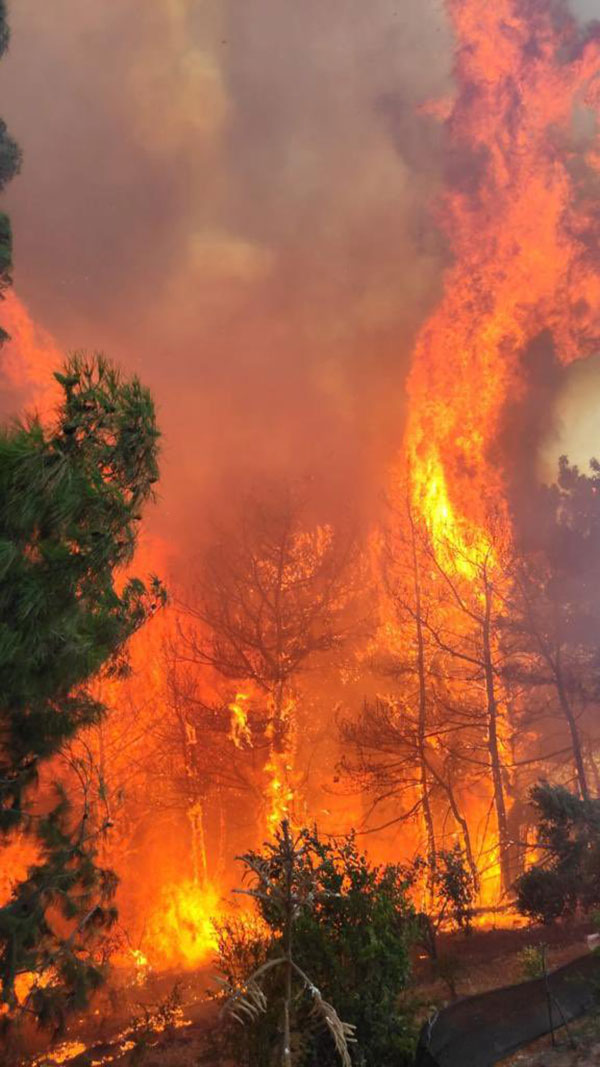 Hatay Belen orman yangını - 48 Haber Ajansı