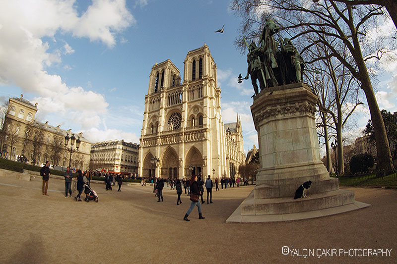 Notre-Dame de Paris Cathedral - Photo: Yalcin Cakir 18