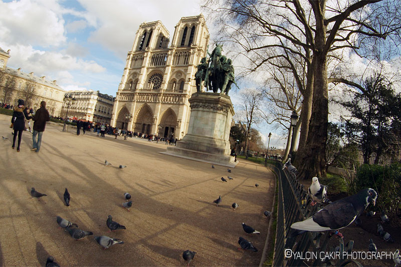 Notre-Dame de Paris Cathedral - Photo: Yalcin Cakir 20