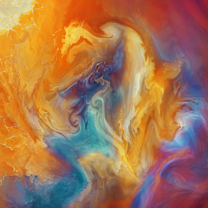 Phoenix Rising - by Paul Hoelen