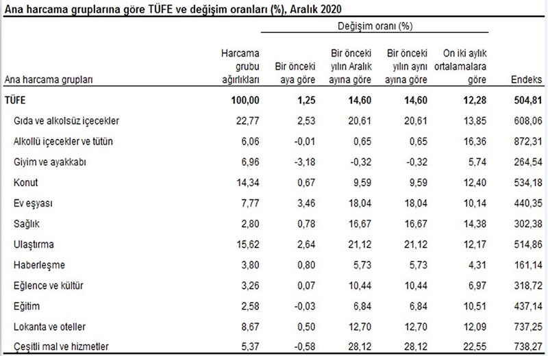Türkiye İstatistik Kurumu (TUIK) 2020 yılı ekonomik verileri 5