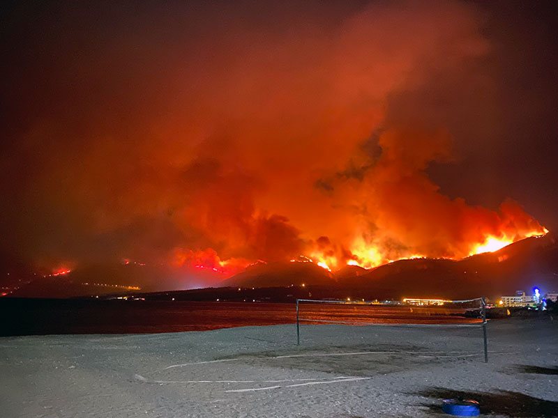 Mersin Gülnar'da orman yangını 4