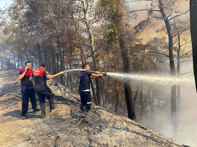 Forest fire in Yalancıboğaz 5